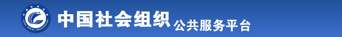 抽插视频全国社会组织信息查询